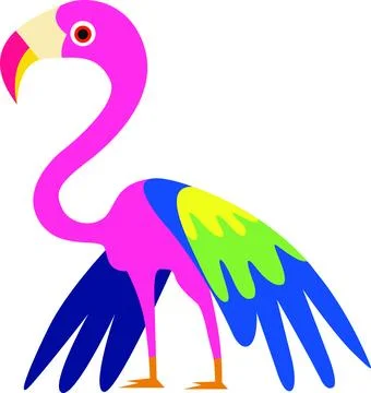 Flamingo Bird Stock Illustration