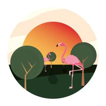 Flamingo bird in the landscape Ilustración de archivo