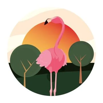 Flamingo bird in the landscape Ilustración de archivo