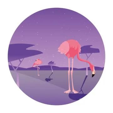 Flamingo bird in the landscape Ilustración de archivo