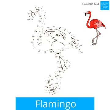 Flamingo bird learn to draw vector Stock Illustration