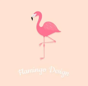 Flamingo bird on pink background. Vector illustrsation design Stock Illustration