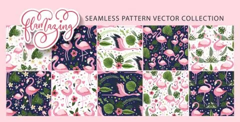 Flamingo bird seamless pattern vector set. Stockillustratie