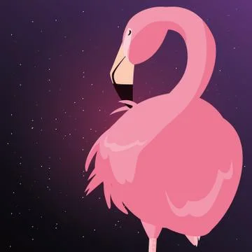 Flamingo bird starry night Stock Illustration