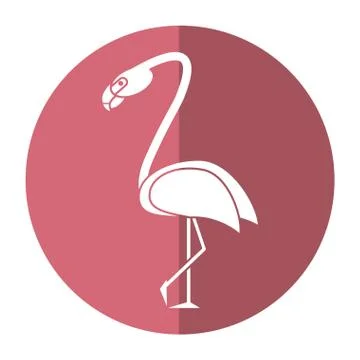Flamingo bird tropical shadow Stock Illustration