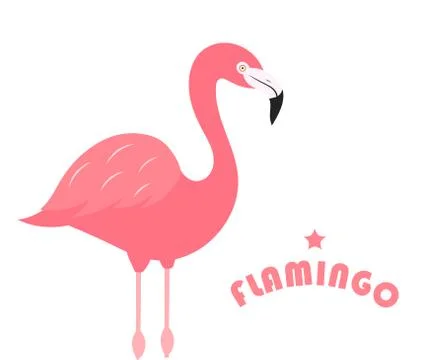 Flamingo bird on white background. Vector illustrsation Stock Illustration