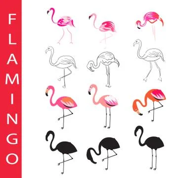 Flamingo birds vector set. Cartoon, outline and silhouette Illustration