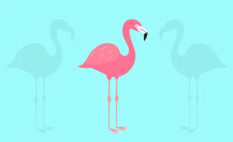 Flamingo on blue background. Vector illustration. Illustrazione stock