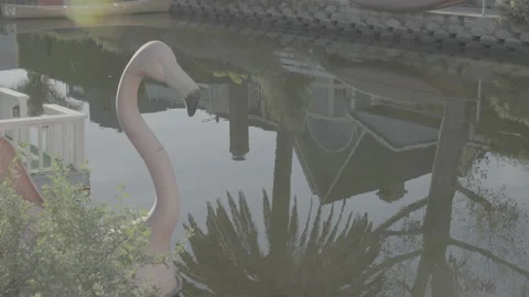 Flamingo boat in river at Venice Beach canal Video stock 200848828