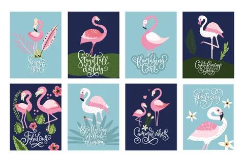 Flamingo cards Stock Illustration