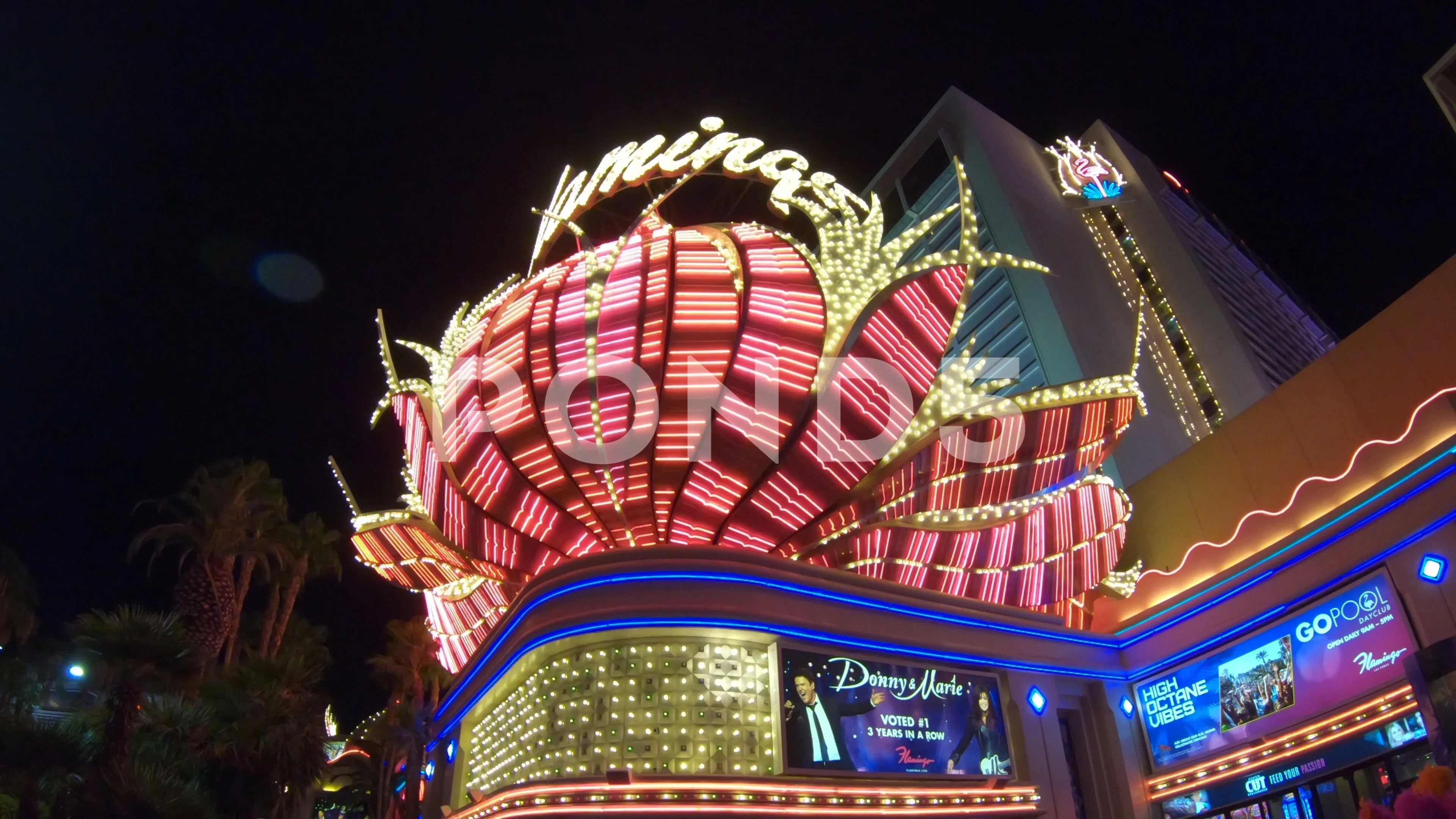 Las Vegas Photo Flamingo Hotel Casino the Strip Night 