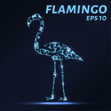 Flamingo consists of points, lines and triangles. The polygon shape in the .. Stock Illustration
