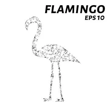 Flamingo consists of points, lines and triangles. The polygon shape in the .. Stock Illustration
