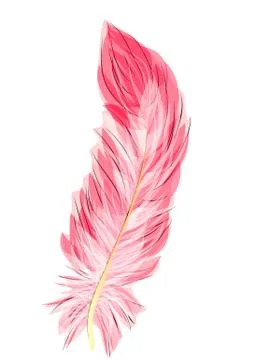 Flamingo feather Stock Illustration