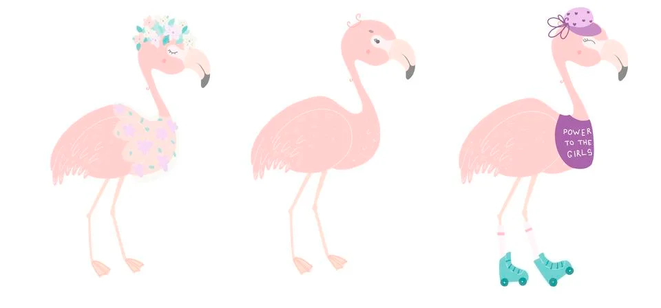Flamingo, flat vector illustration. Vector illustration set. Stock Illustration