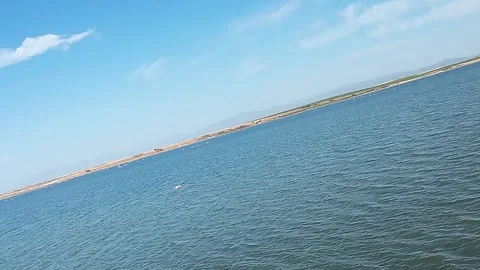 Flamingo in a flight Stock Footage 293200158