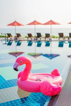 Flamingo float around swimming pool in hotel resort with umbrella and chair i 写真素材