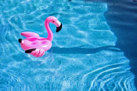 Flamingo float in the pool. 写真素材