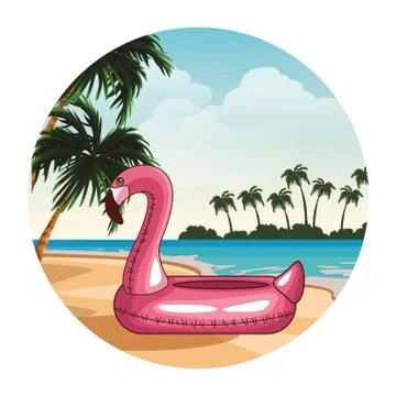 Flamingo float summer Illustrazione stock