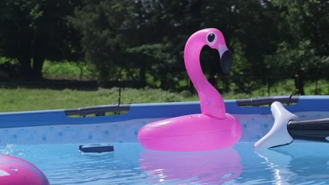 Flamingo floatie in swimming pool during summer Video stock 137620347