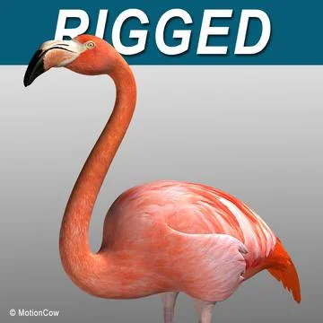 Flamingo  Folded Wings 3D Model