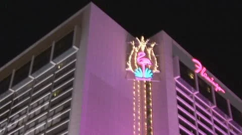 Flamingo Hotel Stock Footage 12628953