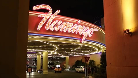 Flamingo Hotel Stock Footage 112214297