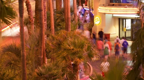 Flamingo Hotel Sidewalk Video stock 60437731