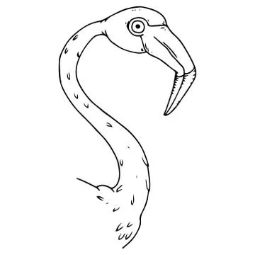 Flamingo icon. Stock Illustration