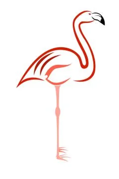 Flamingo Stock Illustration