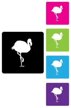 Flamingo Illustrazione stock