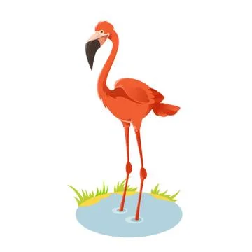 Flamingo Stock Illustration