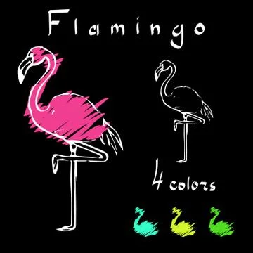 Flamingo Stock Illustration