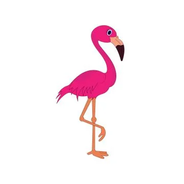 Flamingo Stock Illustration