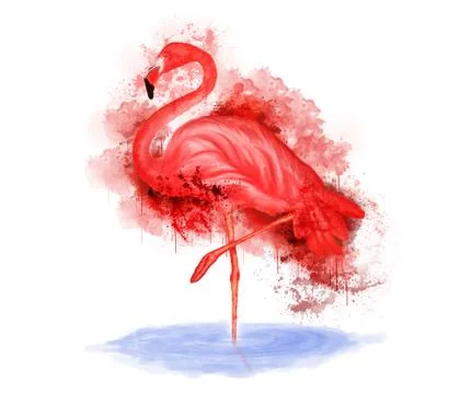 Flamingo Illustrazione stock