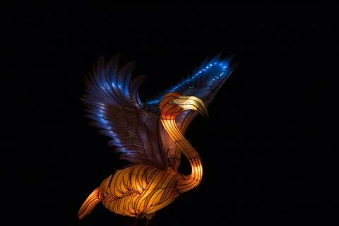 Flamingo lantern in the dark Stock Photos