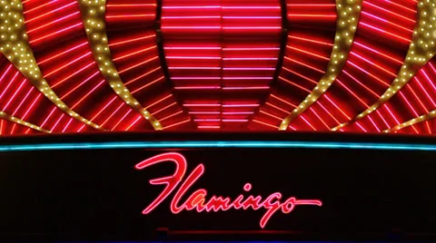 Flamingo Las Vegas Video stock 34204463