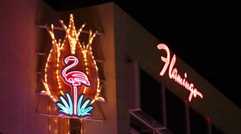 Flamingo Las Vegas Stock-Footage 34285554