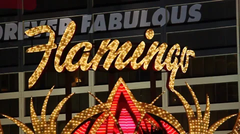 Flamingo Las Vegas Video stock 36043923