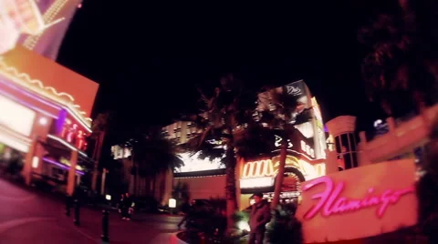 Flamingo Pan Stock-Footage 1043322