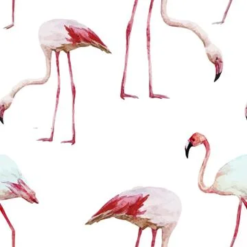 Flamingo pattern Stock Illustration