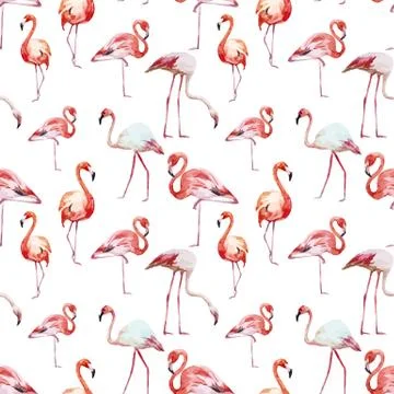 Flamingo pattern Stock Illustration