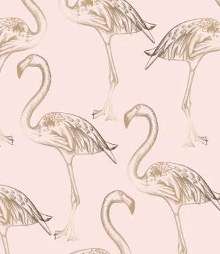 Flamingo pattern Vector. Vintage retro texture line art decors Stock Illustration