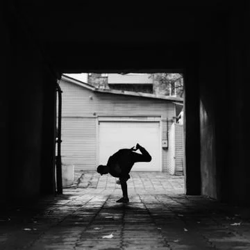 Flamingo Stock Photos