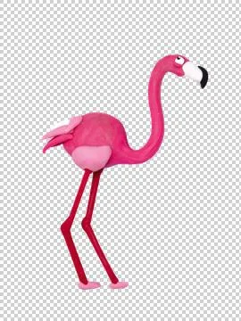 FLAMINGO 写真素材