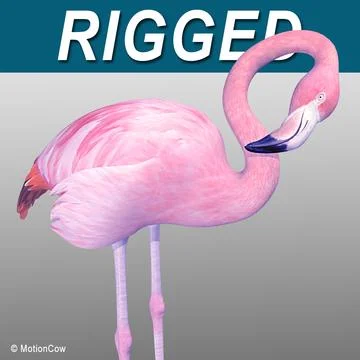 Flamingo Pink  Folded Wings 3D Model
