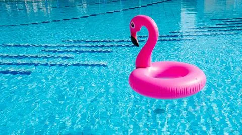 Flamingo plastic. Pink inflatable flamingo in pool water for beach background Stock Photos