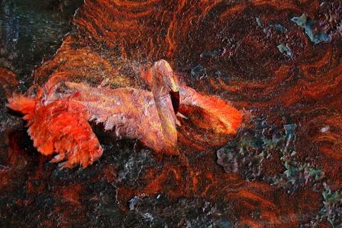 Flamingo rust 写真素材