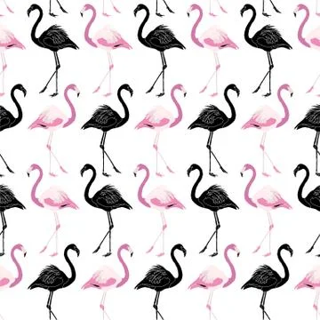 Flamingo Seamless Pattern Background Design Black and Pink Stock Illustration