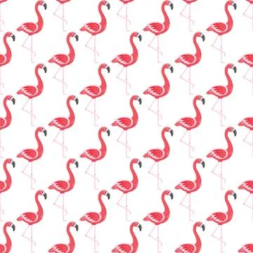 Flamingo Seamless Pattern, Exotic Birds Nature Stock Illustration